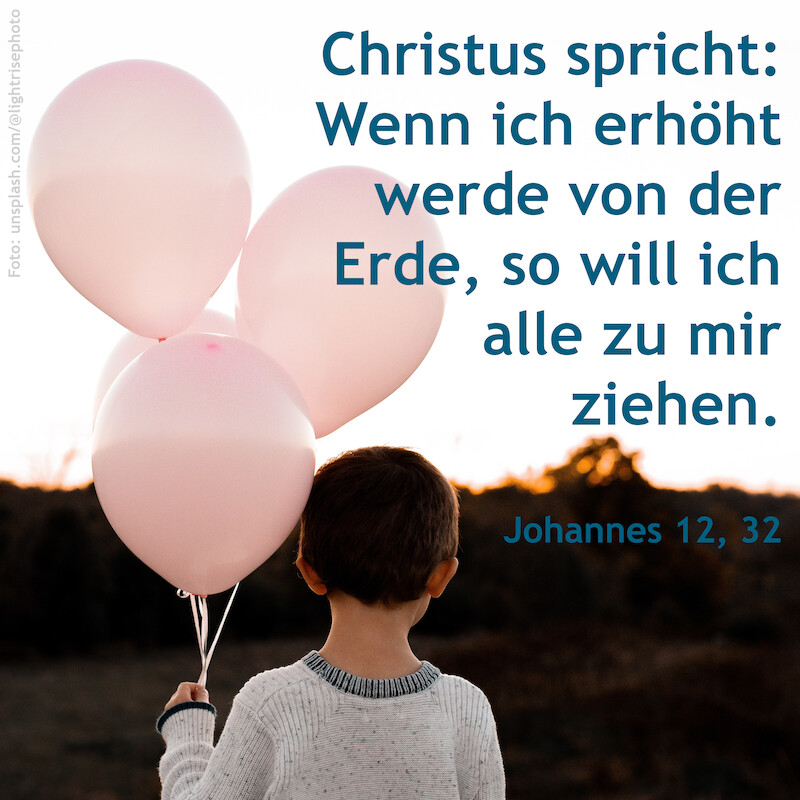 Foto: unsplash.com/@lightrisephoto